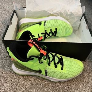 Lebron Witness V Shoes